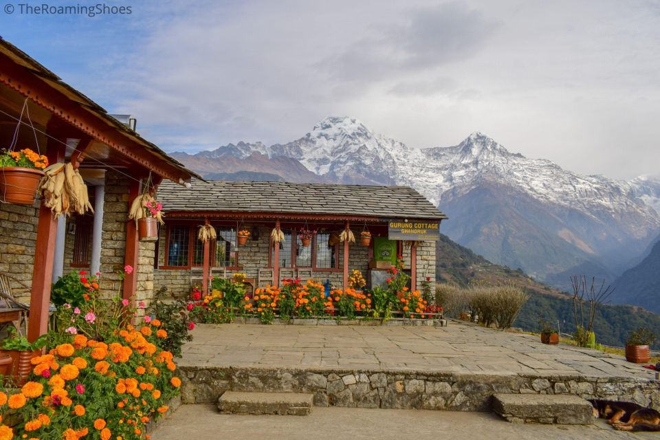 Pokhara: 4 Days Private Trekking to Poon Hill - Trekking Experience Highlights