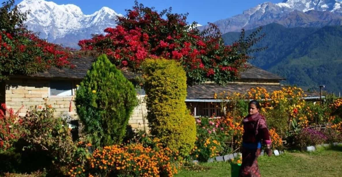 Pokhara: Dhampus Village Car Tour for Scenic Himalayas - Overview and Pricing