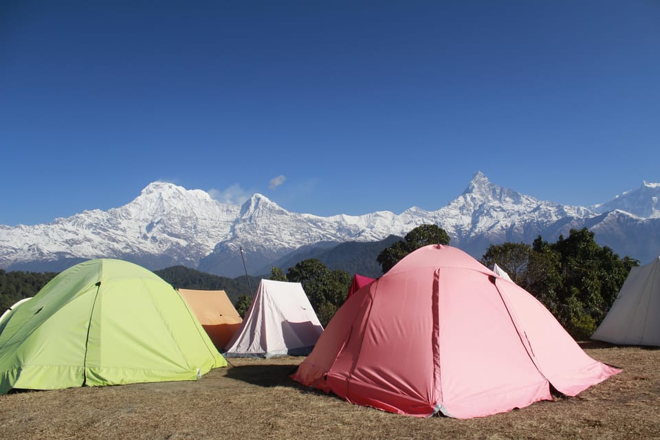 Pokhara: One Night Camping, Campfire Stay at Australian Camp - Overview of the Camping Experience