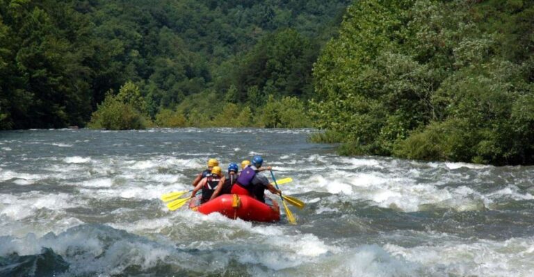 Pokhara: Seti Whitewater Guided Half Day Rafting Adventure