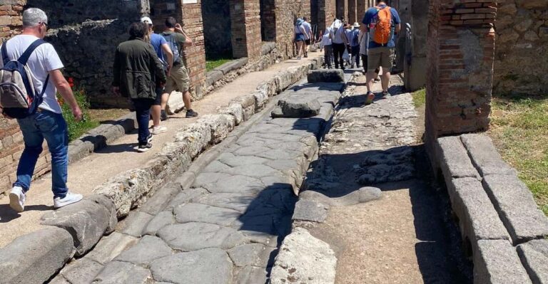 Pompeii From Napoli: Transfer + Entry Ticket + Guided Tour