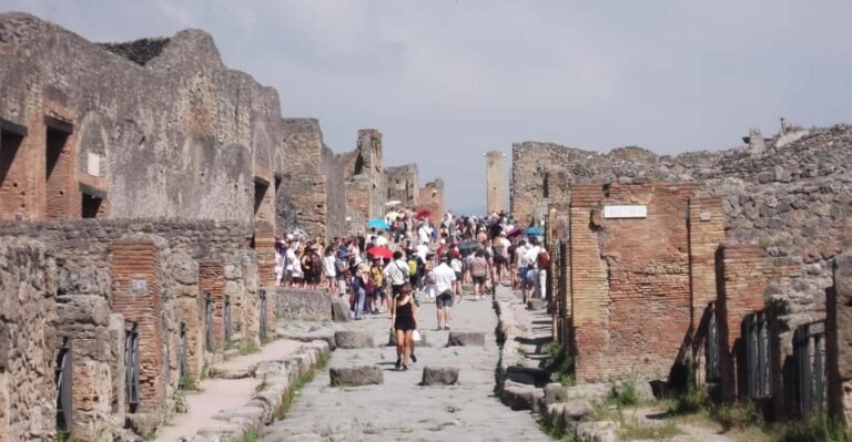 Pompeii: Private Tour With Wine Tasting on Vesuvius