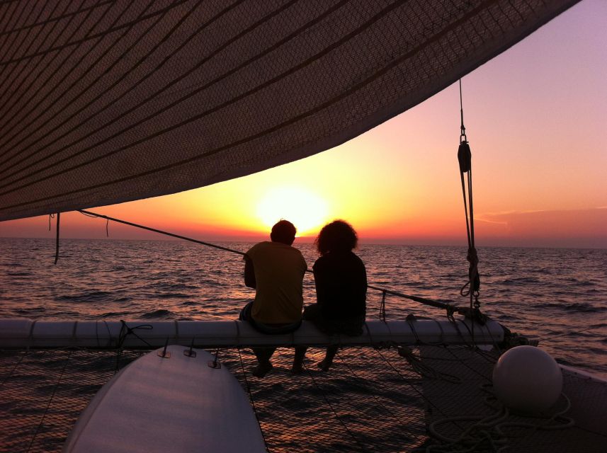 Port Camargue: Half-Day Sailing Tour on a Racing Catamaran - Tour Overview