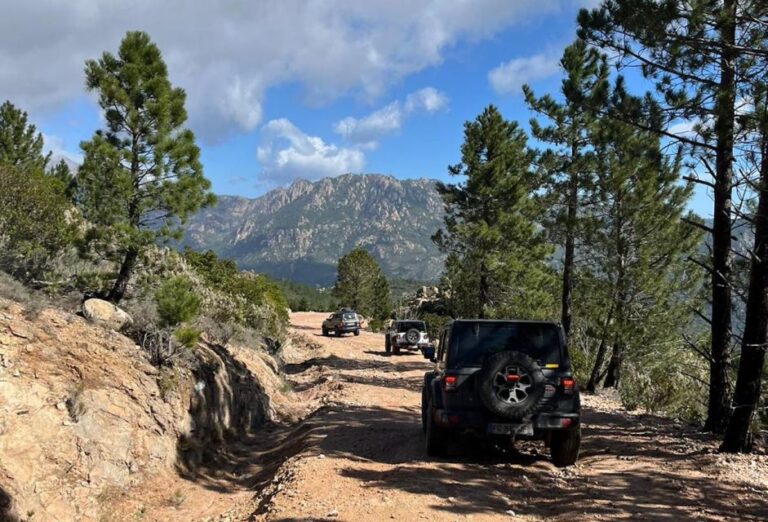 Porto Vecchio: Cuscionu Plateau & Alta Rocca 4×4 Tour