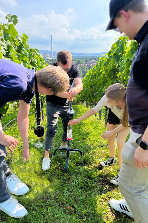 Premium Wine Hike Stuttgart With Games and Winemakers Snack - Unfavorable Weather Provisions