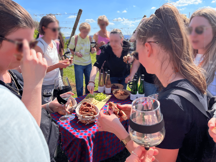 Premium Wine Hike Stuttgart With Games and Winemakers Snack - Experience Highlights