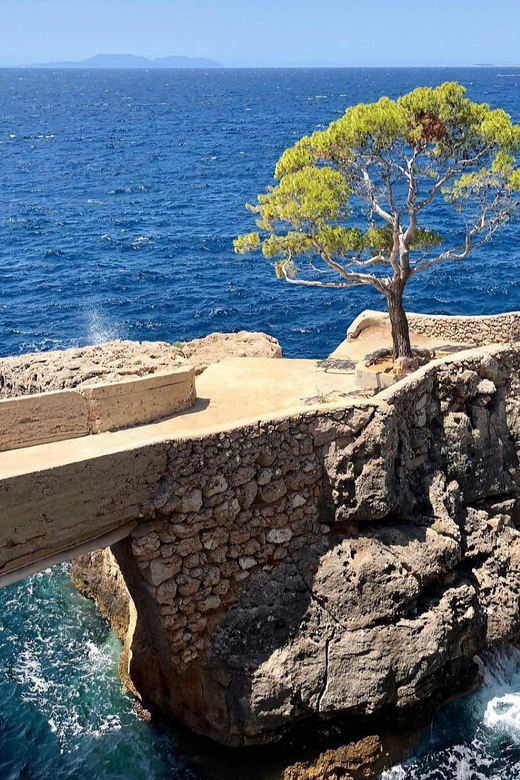 Privat – Hvar South Shore and Pakleni Islands Experience.