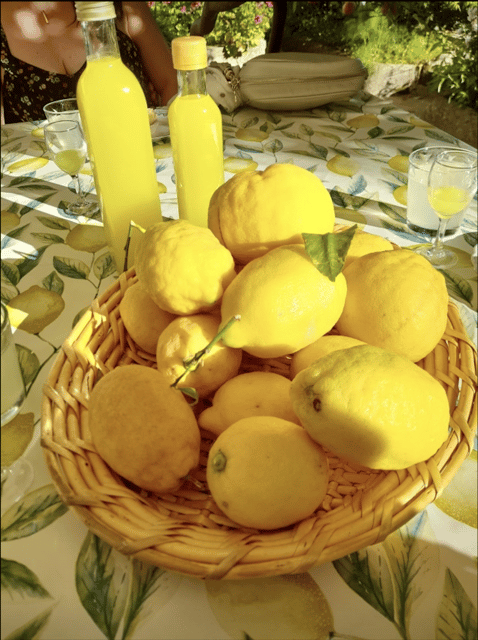 Private: Amalfi Organic Lemon Tour & Tasting - Key Points