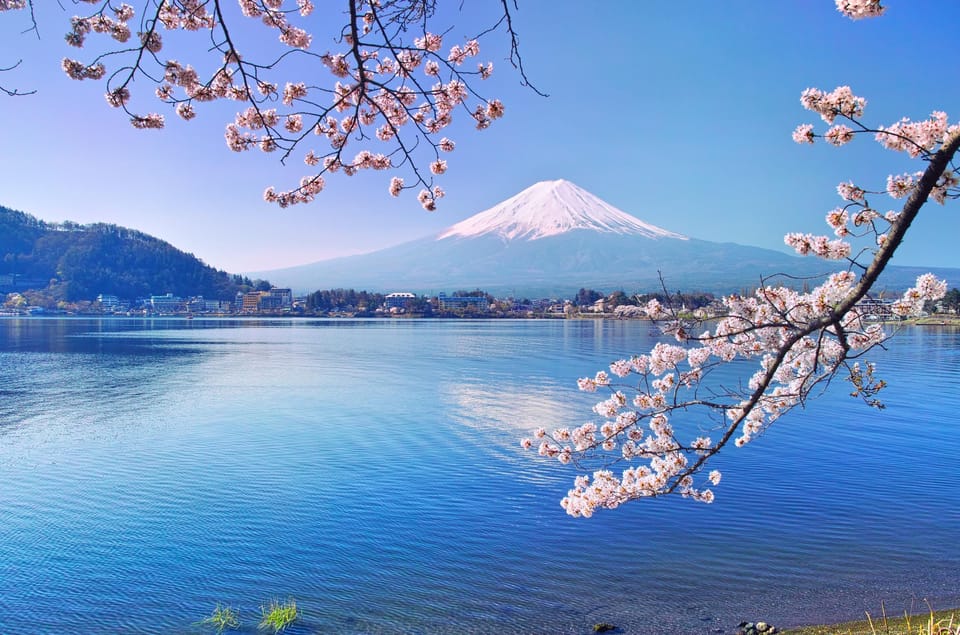 Private Customized Tour in Mount Fuji - Key Points