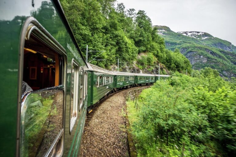 Private Day Tour to Flåm&Rib Sognefjord Safari&Flåm Railway