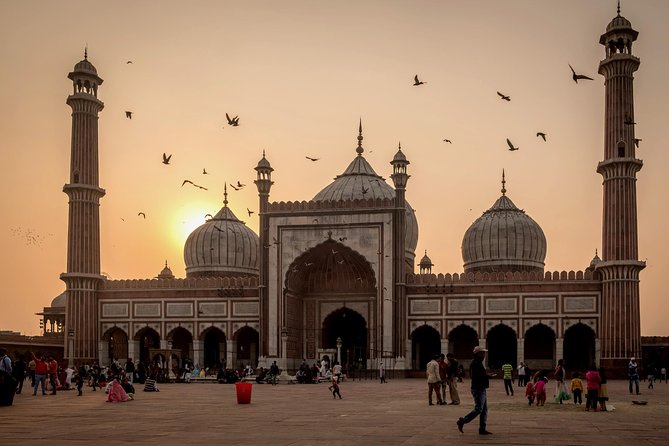 Private Delhi City Tour Including New Delhi and Old Delhi - Overview of the Tour