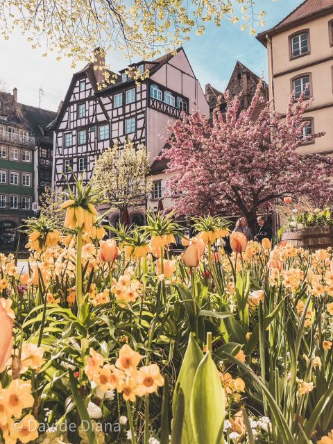 Private Gastronomic Tour of Strasbourg