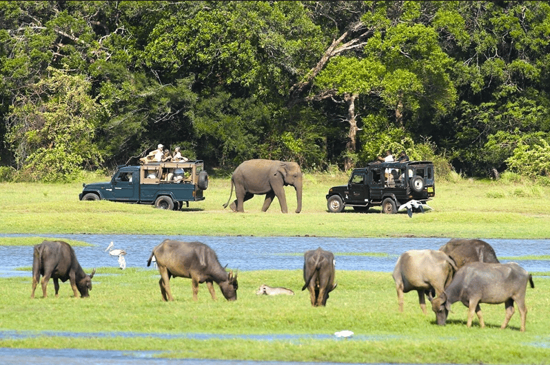 Private Jeep Safari to One of the Best National Parks - Safari Overview and Pricing