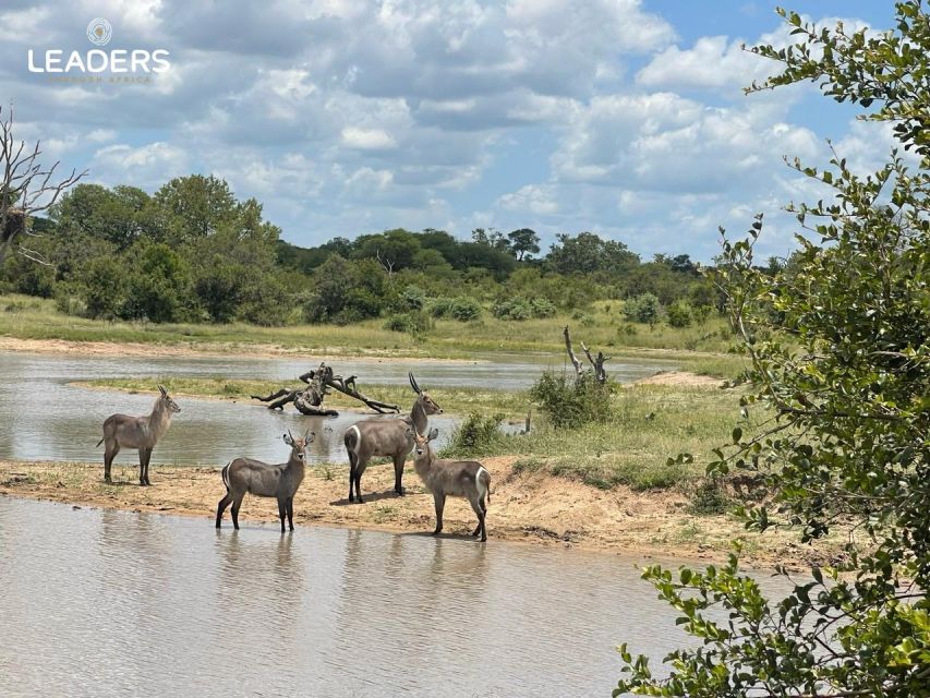 Private Kruger National Park Full Day Safari - Exploring Krugers Diverse Landscapes