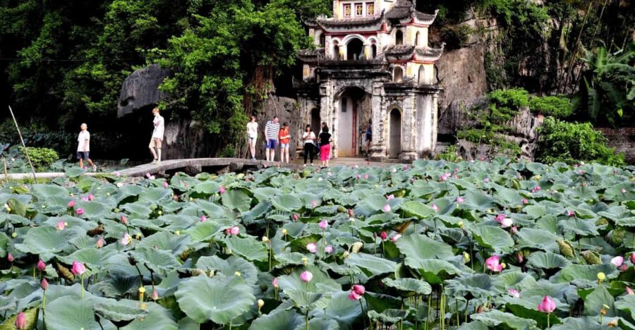 Private Luxury 1 Day Tour: Trang An, Mua Cave, Bich Dong