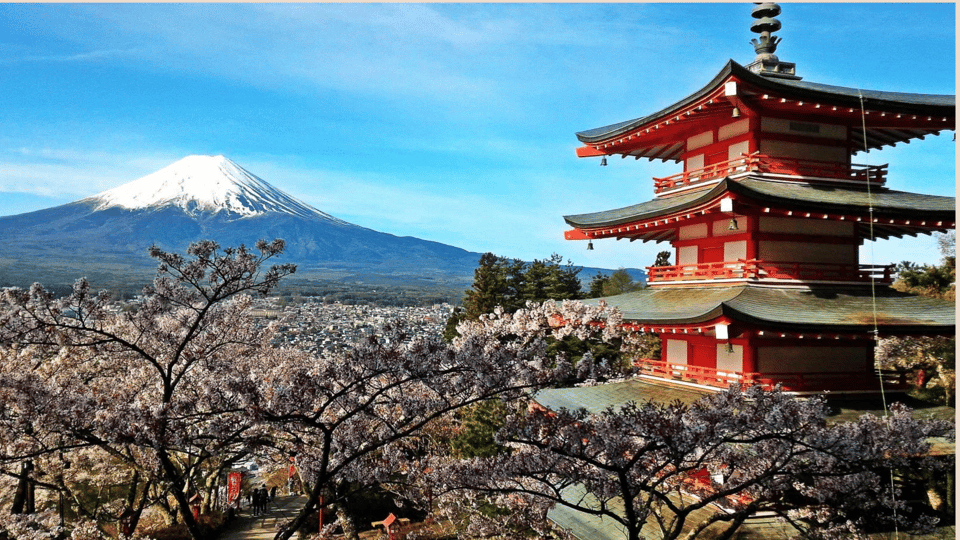 Private Mt. Fuji & Hakone Sightseeing Day Trip From Tokyo - Key Features of the Tour