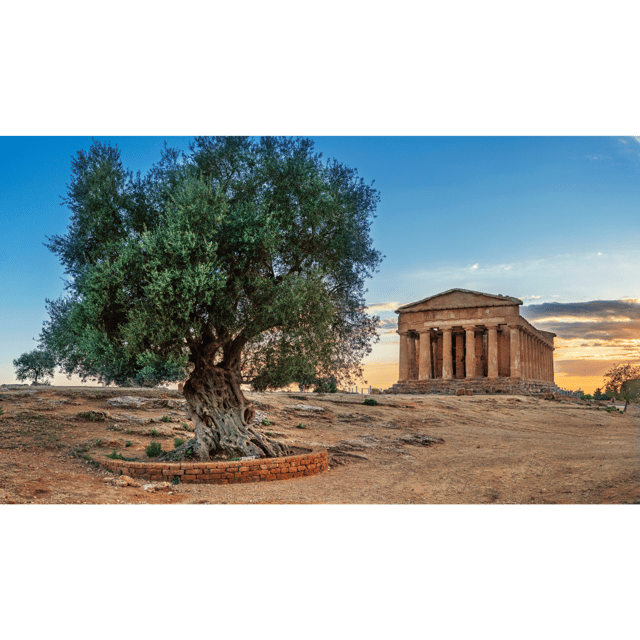 Private Tour Valley of the Temples and Scala Dei Turchi - Itinerary Details