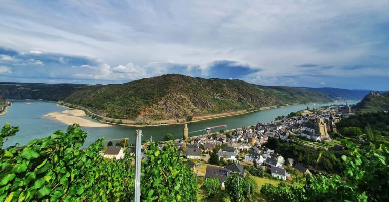 Private UNESCO Rhine Valley Tour With Boat Trip and Wine Tasting