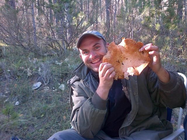 Provence: Mushroom Hunting With Outdoor Breakfast - Overview of the Activity