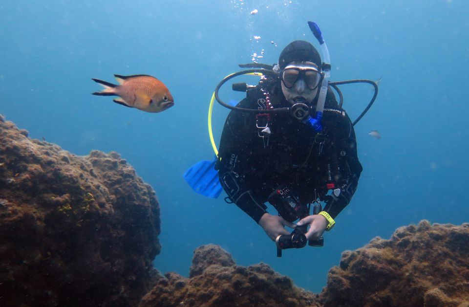 Puerto Del Carmen: Guided Scuba Dive (Certified Only) - Activity Overview