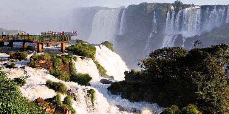 Puerto Iguazu: Iguaza Falls Brazilian Side & Bird Park Tour