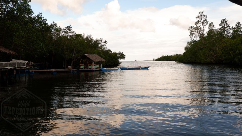 Puerto Princesa: Firefly Watching Paddle Boat Tour & Dinner - Tour Overview