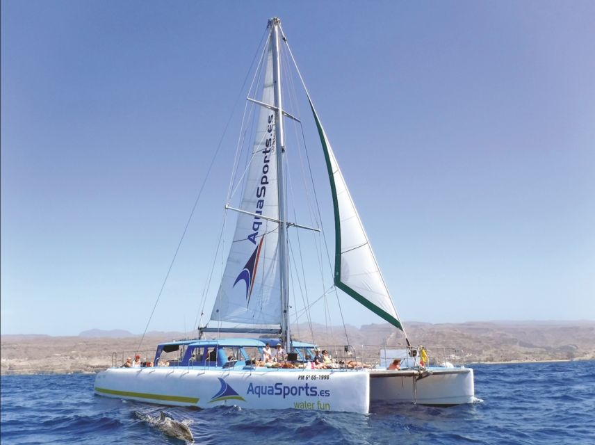 Puerto Rico: 4-Hour Catamaran Excursion in the South - Activity Overview