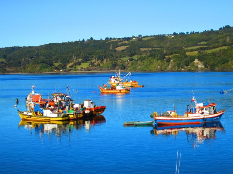 Puerto Varas: Full Day Chiloe Island Tour Castro and Dalcahue