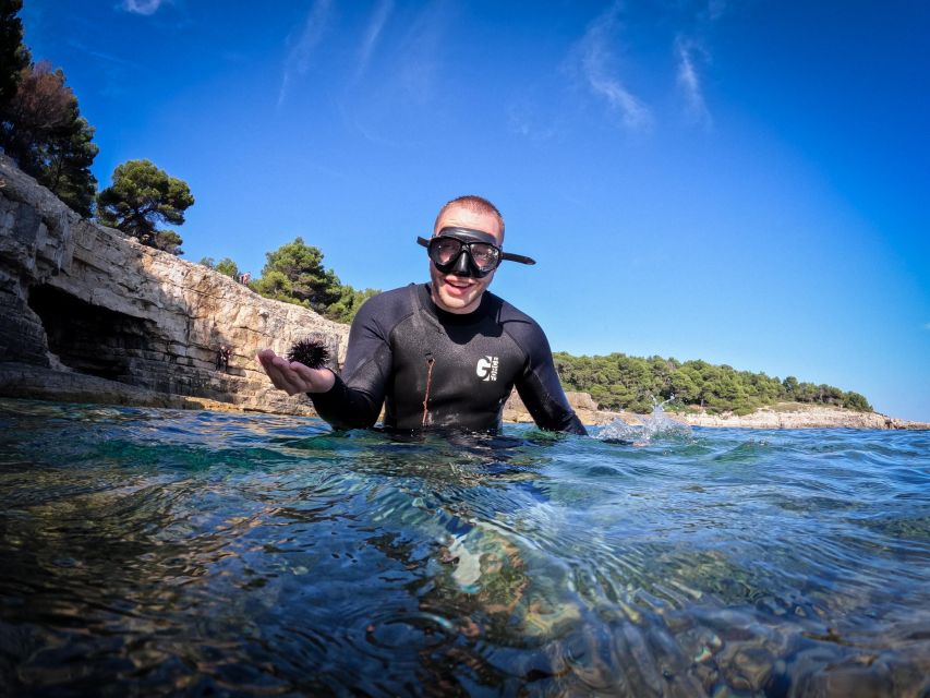 13 Best Snorkeling Experiences In Pula