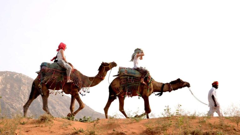 Pushkar Day Trip With Camel Safari From Jaipur by Car.