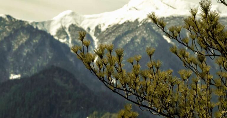 Rara Lake Trek