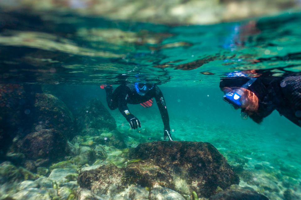 Rate: Guided Snorkel Tour in the Strait Natural Park - Tour Overview and Pricing