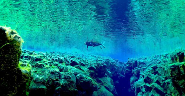 Reykjavik Combo Snorkel in Silfra Fissure & Lava Caving