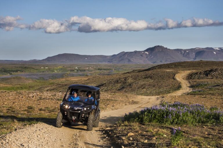 Reykjavik: Lava Field Buggy Adventure