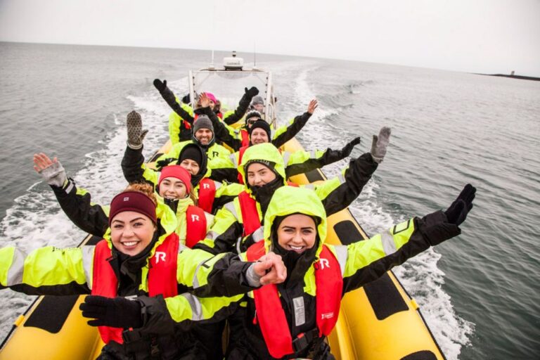 Reykjavik: Whale Watching by RIB Speedboat