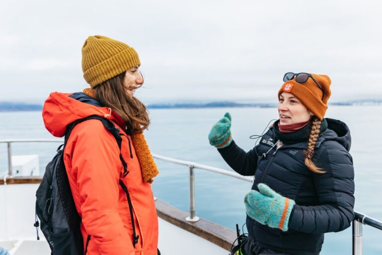 Reykjavík: Whale Watching Cruise on the Amelia Rose Yacht