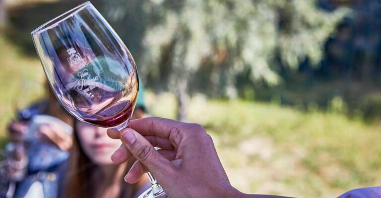 Ribera Del Duero: Red Wine Discovery Tour With Tastings