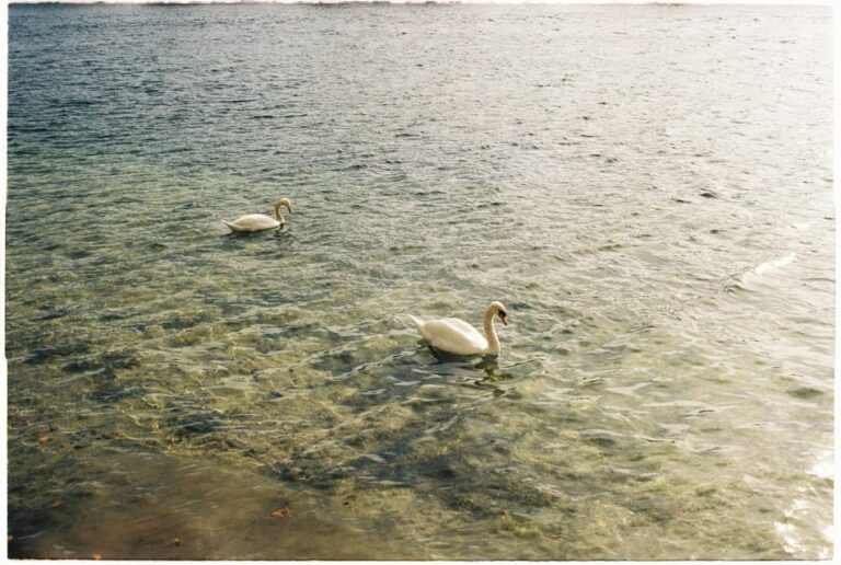 Ride a Motorboat Into the Sunset & Enjoy a Picnic