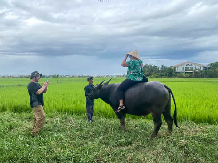 Riding Water Buffalo Hoi An Private Bike Tour - Itinerary and Experience