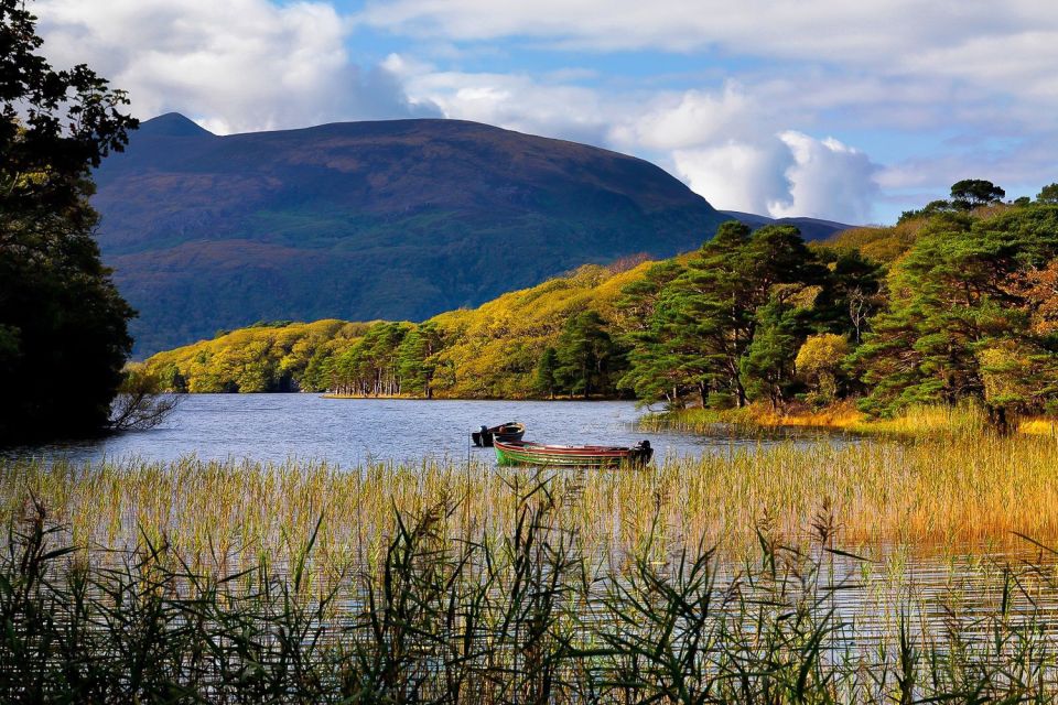 Ring of Kerry: Full-Day Tour From Killarney - Tour Overview and Pricing