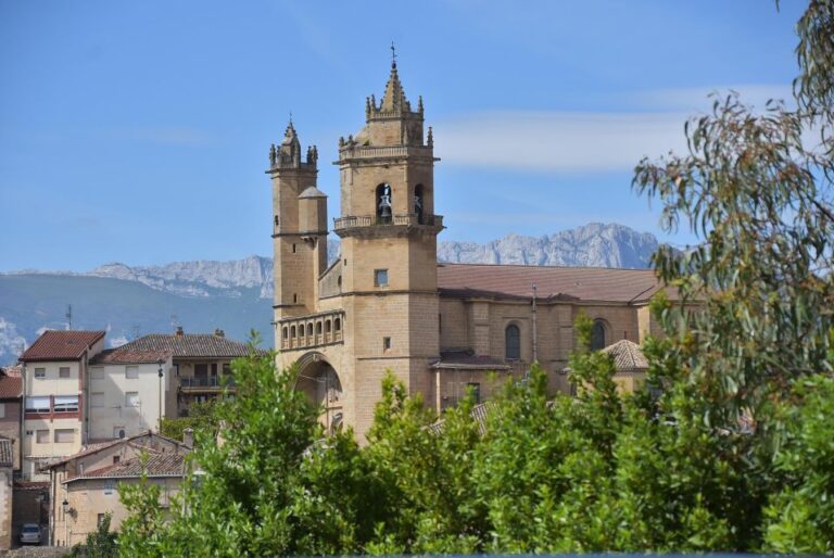 Rioja Alta and Rioja Alavesa Wine Tour (from Rioja)