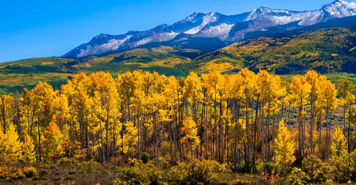 Rocky Mountain & Garden of Gods Self-Guided Audio Tour - Tour Overview