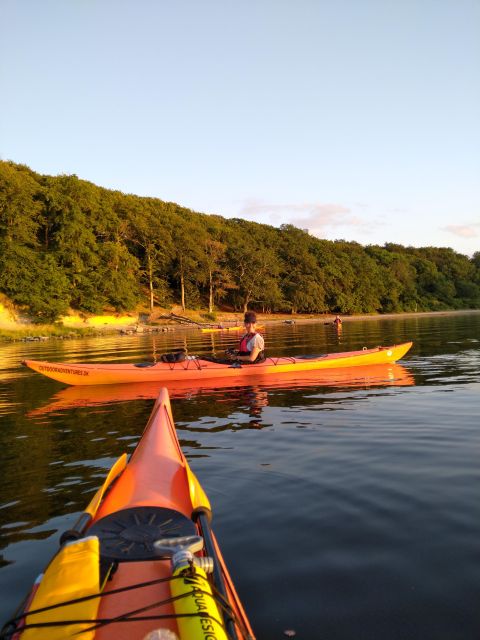 Roskilde: Guided Kayaking on Roskilde Fjord: Private Tour - Overview of the Tour