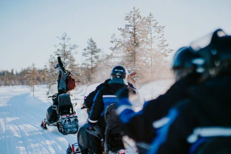 Rovaniemi: 3-Hour Snowmobile Safari in Lapland