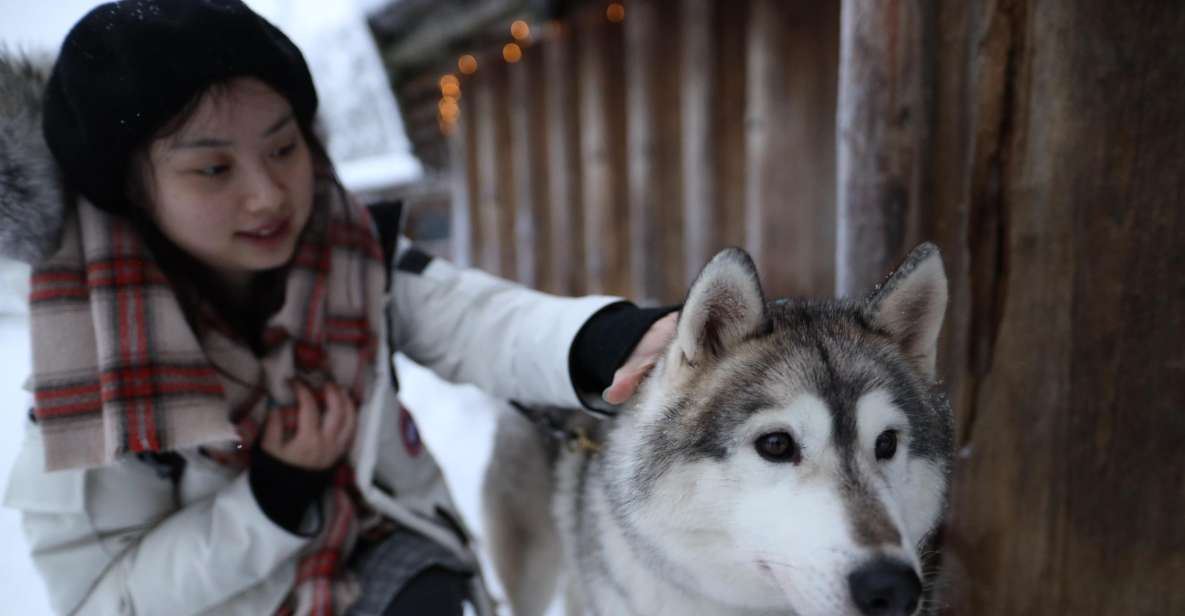 Rovaniemi: Santa Claus Village Tour Huskies & Reindeer Visit - Overview of the Tour