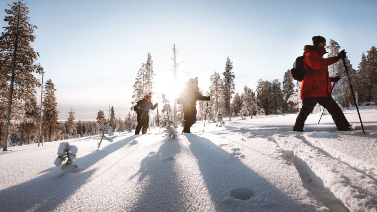 Rovaniemi: Ski Trekking Safari in Lapland