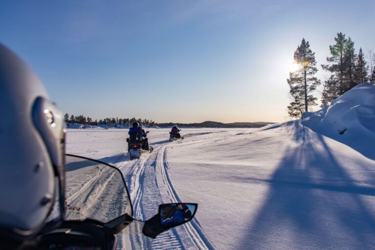 Rovaniemi: Snowmobile Safari Adventure