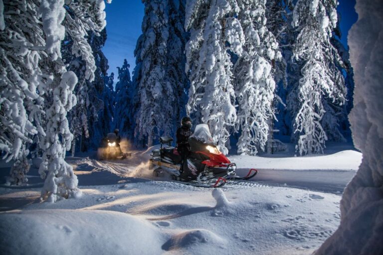 Rovaniemi: Snowmobile Safari & Campfire Evening Escape