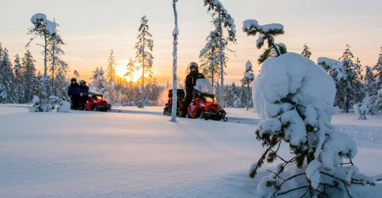 Rovaniemi: Snowmobile Safari to a Reindeer Farm