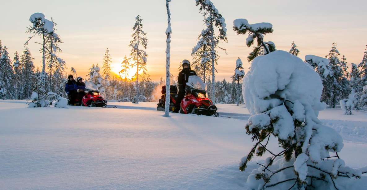 Rovaniemi: Snowmobile Safari to a Reindeer Farm - Overview of the Snowmobile Safari